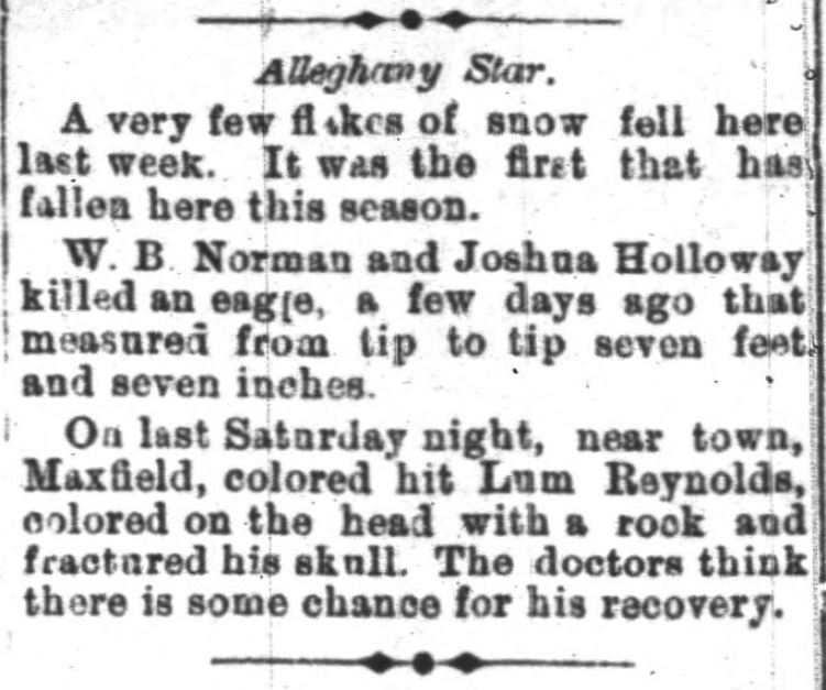 Alleghany Star — W.B. Norman and Joshua Holloway killed an eagle